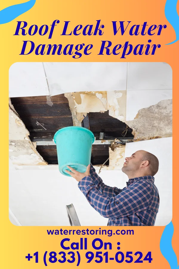 Roof Leak Water Damage Repair in Atalissa, IA